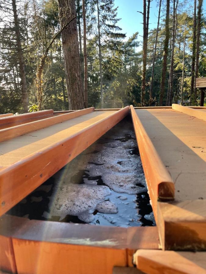 Bain de forêt - Lodges Cosy&Spa Neufchâtel-Hardelot Extérieur photo