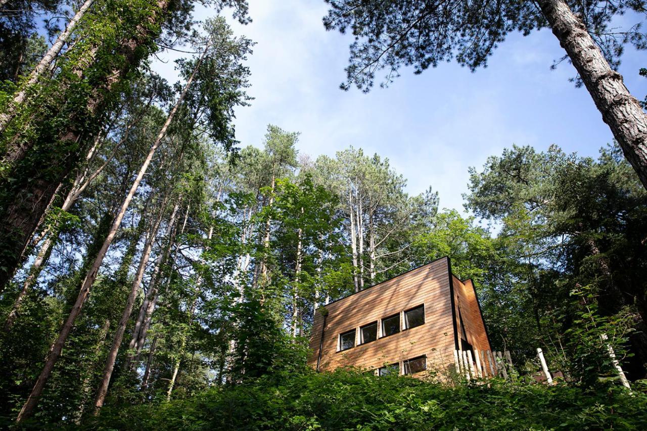 Bain de forêt - Lodges Cosy&Spa Neufchâtel-Hardelot Extérieur photo