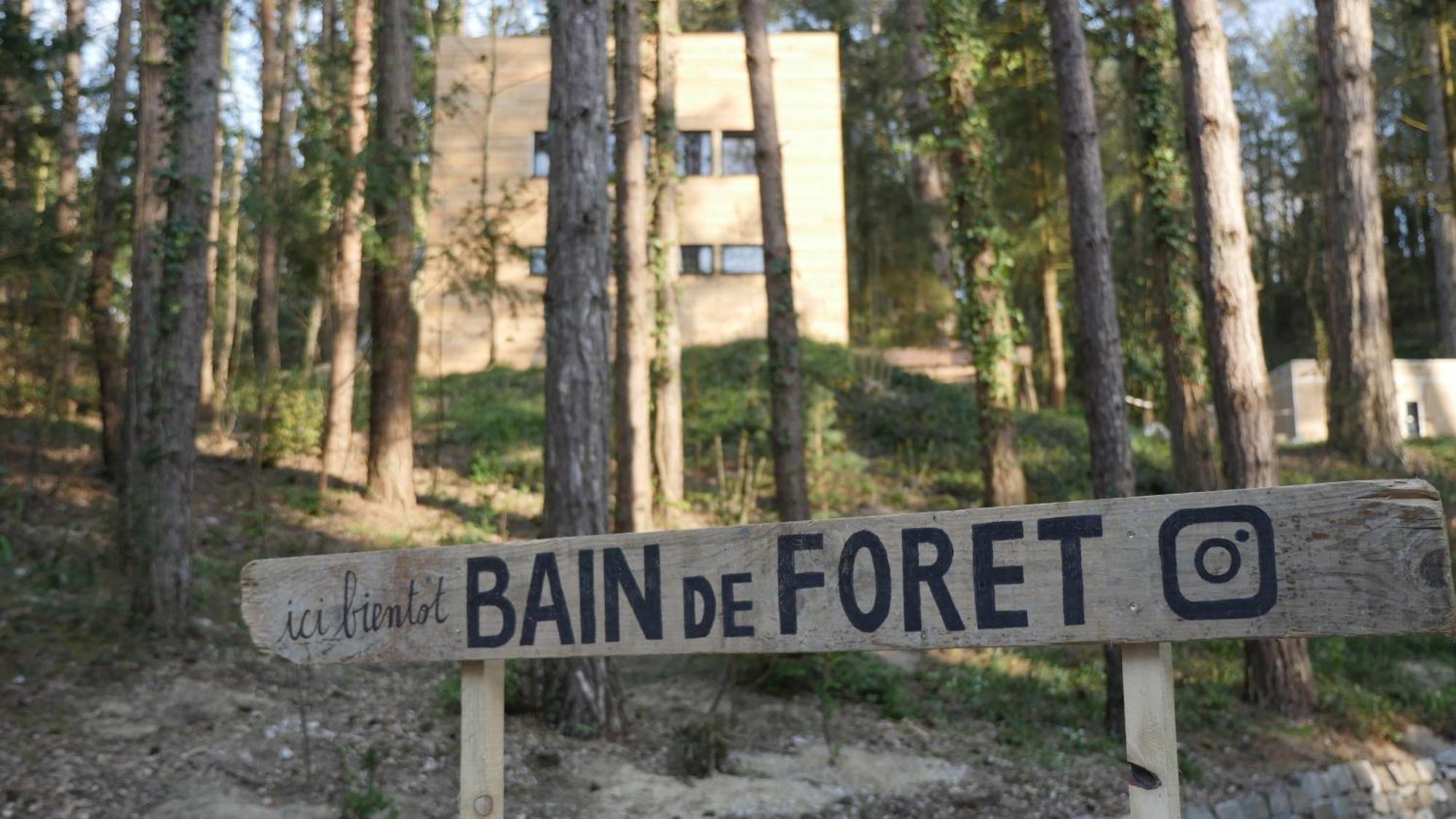 Bain de forêt - Lodges Cosy&Spa Neufchâtel-Hardelot Chambre photo